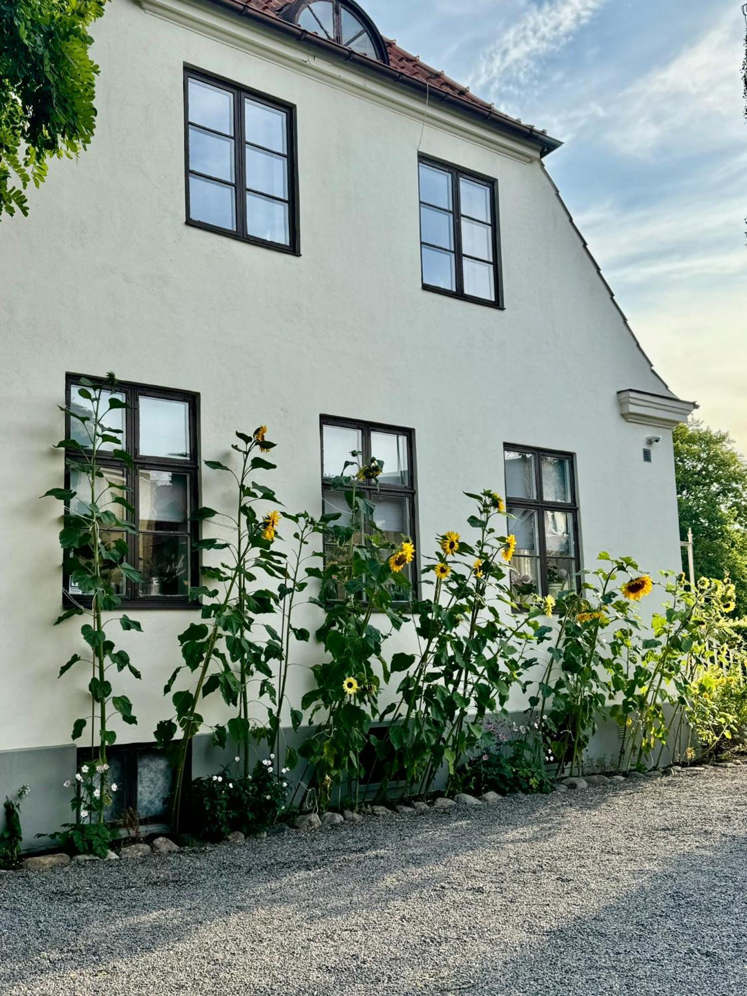 Stf Landskrona Hostel Kültér fotó
