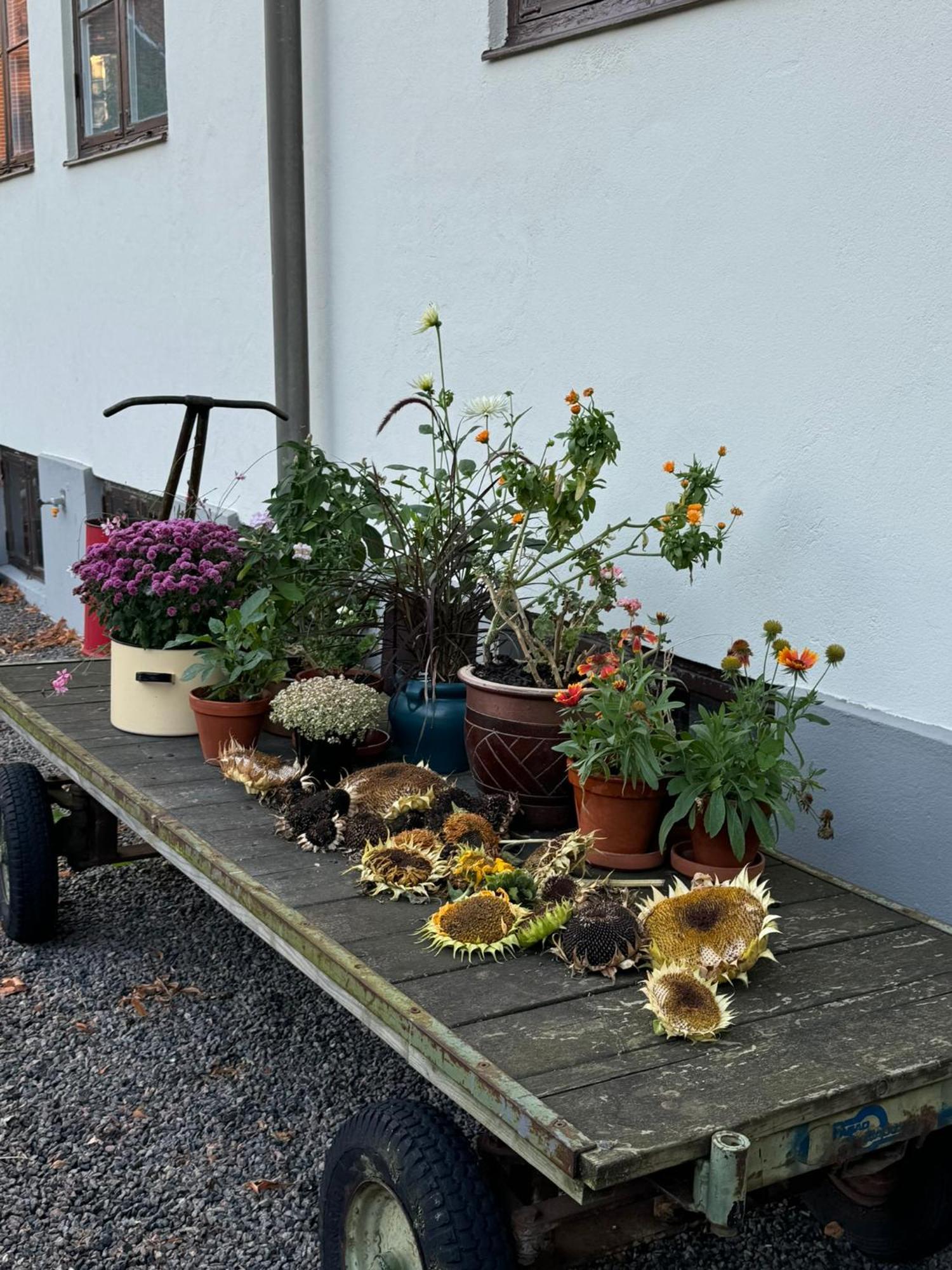 Stf Landskrona Hostel Kültér fotó